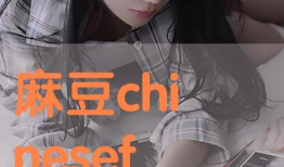 董麻豆,揭秘网红背后的故事与成长之路